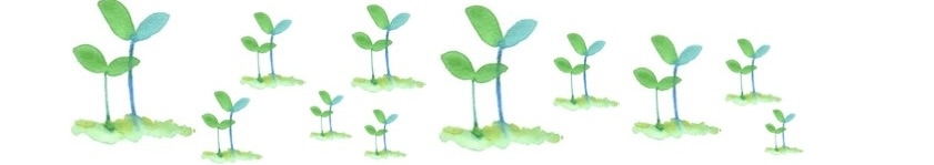 grass
