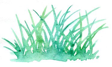 grass